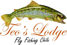 TEO'S LODGE FLY FISHING - Lago Yelcho - Patagonia - Chile 