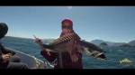 Embedded thumbnail for Fotos y Videos