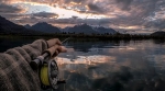 Embedded thumbnail for Fotos y Videos